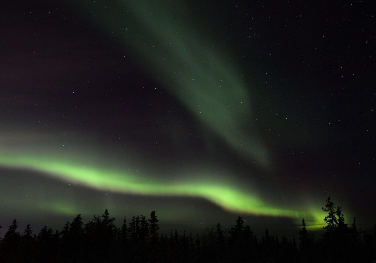 Green northern lights above the Yellowknife treeline
