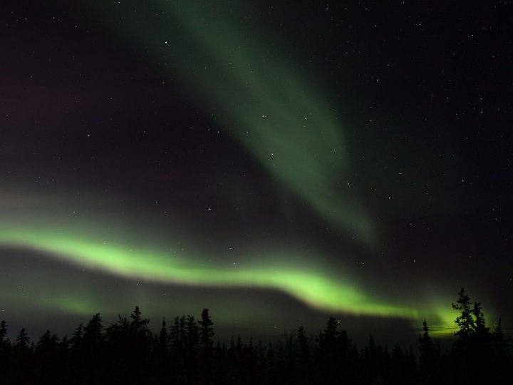 Green northern lights above the Yellowknife treeline